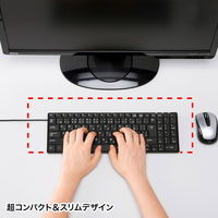 有線キーボード　静音　パンタグラフ　コンパクト　ブラック　SKB-SL19BK　サンワサプライ　1個