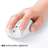 サンワサプライ マウス付きワイヤレスキーボード SKB-WL25SETW 1個