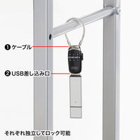 サンワサプライ USBメモリセキュリティ ブラック SL-69 1個