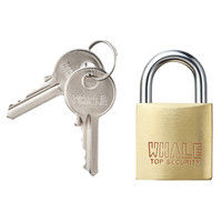 サンワサプライ eセキュリティ（南京錠 大 No.10） SLE-1L-10N 1個（直送品）