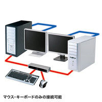 サンワサプライ デュアルリンクDVI対応パソコン自動切替器(2:1) SW-KVM2HDCN 1個（直送品）
