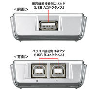 サンワサプライ USB2.0手動切替器(2回路) SW-US22N 1個（直送品）
