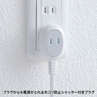 サンワサプライ プラス1個口便利タップ ホワイト 2P式 10m TAP-B9-10N 1個（直送品）