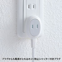 延長コード 電源タップ 5m 2P（ピン） 4個口 ホワイト TAP-B9-5N サンワサプライ 1個
