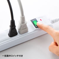 サンワサプライ 雷ガードタップ TAP-SP304 1個