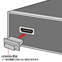 サンワサプライ AVジャックキャップ（HDMI用） TK-CAP3 1セット（6個入り）（直送品）