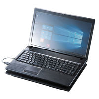 サンワサプライ ノート用クーラーパッド 12インチワイド～15.6インチワイド対応 TK-CLN21U 1個