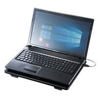 サンワサプライ ノート用クーラーパッド（ファン左右稼働） 12インチワイド～15.6インチワイド対応 TK-CLN22U 1個（直送品）