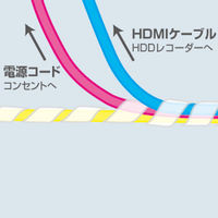 サンワサプライ ケーブルタイ（スパイラル・ホワイト） TVCA-SP12W 1個（直送品）