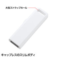 サンワサプライ USB2.0 メモリ UFD-SL4GWN 1個