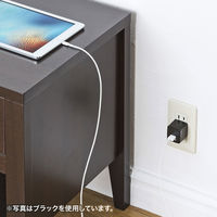 サンワサプライ USB充電器(2ポート・合計2.4A・ホワイト) ACA-IP44W 1個