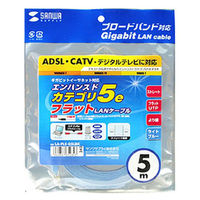 サンワサプライ エンハンスドカテゴリ5撚線フラットケーブル5m LA-FL5-05LBK 1本