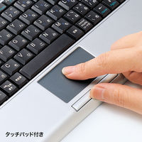有線キーボード　メンブレン　タッチパッド付き　コンパクト　シルバー　SKB-TP01SVN　サンワサプライ　1個（直送品）