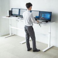 【在庫限り処分品】 サンワサプライ 手動昇降デスク（W1200） ERD-SH12070W 幅1200×奥行700×高さ675～1125mm 1台（直送品）