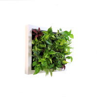 トヨタサントリーミドリエ MIDORIE DESIGN（ミドリエデザイン）観葉植物 グリート ホワイト17B4 1個（直送品）