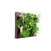 トヨタサントリーミドリエ MIDORIE DESIGN（ミドリエデザイン）観葉植物 グリート ブラウン17A4 1個（直送品）