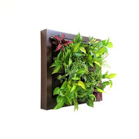 トヨタサントリーミドリエ MIDORIE DESIGN（ミドリエデザイン）観葉植物 グリート ブラウン17B4 1個（直送品）