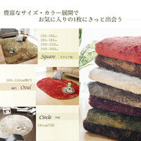 イケヒコ ラグ カーペット 2畳タイプ シャギー調 円形 『ラルジュ』 ブラウン 約185cm 丸1280200060603 1枚（直送品）