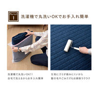 イケヒコ・コーポレーション コルムGN約200×250cm 1291300000000 1枚