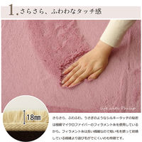 イケヒコ・コーポレーション フィリップ HCC畳みPK約200×250cm 1280100000000 1枚