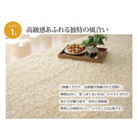 イケヒコ・コーポレーション シャンゼリゼ 平織BR約130×190cm 1340790000000 1枚