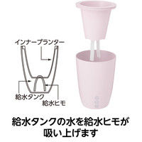 タカショー Qsuiうるる パステルピンク 24 PPQ-05/6S 1セット（6個入）（直送品）