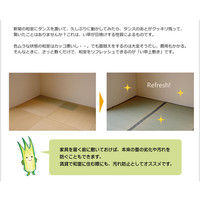 イケヒコ 純国産 い草 上敷き カーペット 糸引織 『湯沢』 本間3畳（約191×286cm） 1枚（直送品）