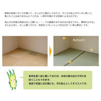 イケヒコ・コーポレーション 松 ヒバ 三六 四方約三六間2畳 1010030000000 1枚