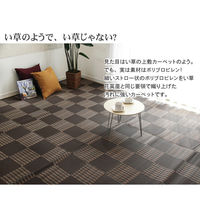 イケヒコ 洗える PPカーペット 『ウィード』 ブラウン 江戸間6畳（約2610×3520mm） 1枚　水洗いラグ カーペット