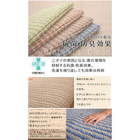 イケヒコ バスマット 洗える 抗菌防臭 『プラチナクリーン ナリ』 ベージュ 約35×50cm 1枚（直送品）