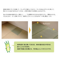 イケヒコ・コーポレーション 不知火 ヒバ 江戸 四方約江戸間4.5畳 1400010000000 1枚