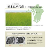 イケヒコ 国産い草シーツ（寝ござ） 『球磨川』 ブルー シングル約88×180cm（熊本県八代産イ草使用） 1枚（直送品）