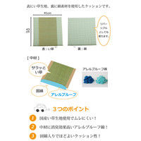 イケヒコ 車用カークッション 抗菌防臭 消臭 『マーブル無染土マチ付シート』 ブラウン 約43×41cm 1個（直送品）