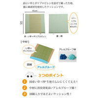 イケヒコ 車用カークッション 抗菌防臭 『マーブル半Pマチ付シート』 グリーン 約43×41cm 1個（直送品）