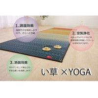 イケヒコ 国産い草使用 インストラクター公認 ヨガマット 「畳ヨガ」 約60×180cm カルム RO 1枚（直送品）