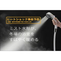 タカギ マッサージシャワピタヘッド JS436GY 1個