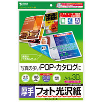 サンワサプライ カラーレーザー用フォト光沢紙・厚手 LBP-KAGNA4N 1冊（直送品）