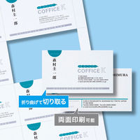 サンワサプライ マルチタイプ名刺カード・厚手 JP-MCM07N 1冊（直送品）