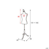 宮武製作所 トルソー ベージュ アンティーク風 TS-2000 BE 1台（直送品）
