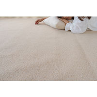 スミノエ オーダーカーペット ホームシェル オーダーラグ 2250×2000mm アイボリー AS-HSL-IV225200 1枚（直送品）