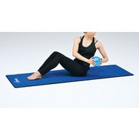 トーエイライト トーエイライト(TOEI LIGHT) ソフトメディシンボール0.5kg H7163 1セット（2個）