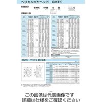 椿本チエイン サーボモータ用 TERVO減速機(ヘリカルギヤヘッド) GMTK2242F20ーL1PC 1個（直送品）