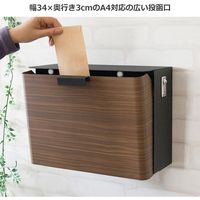 宮武製作所 メールボックス TEER ティール 幅350×奥行165×高さ255mm ブラウン MB-1300M_BR 1台（直送品）