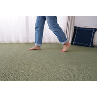 スミノエ オーダーカーペット オーダーラグ ポルコ 2300×1550mm グリーン AS-PL-GN230155 1枚（直送品）