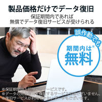 エレコム データ復旧サービス付SDカード V30 UHS-I U3 64GB MF-FS064GU13V3R 1個（直送品）