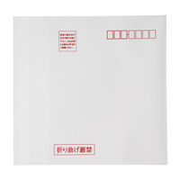 サンワサプライ 郵送メールケース(ポケットタイプ・10枚入り) FCD-DM5 1個