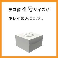 【保冷バッグ】ヘッズ　ボヌールバッグー2　1セット（5枚入） BNR-2CB