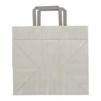 シモジマ 手提げ紙袋　フラットチャームバッグ　平手 300ー1 エコアッシュ1セット（200枚：50枚入×4）