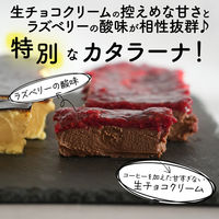 FUJI 濃厚カタラーナ プレーン 2本(2種) 1箱（直送品）