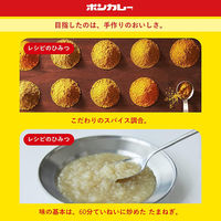 ボンカレーゴールド 辛口 180g 1セット（1個×10）大塚食品 レトルトカレー レンジ対応
